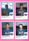1986 Little Falls Mets Team Set (Little Falls Mets)